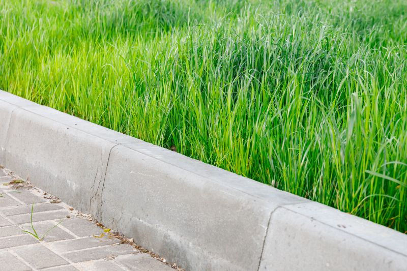 Decorative Curbing Service in Honolulu, HI