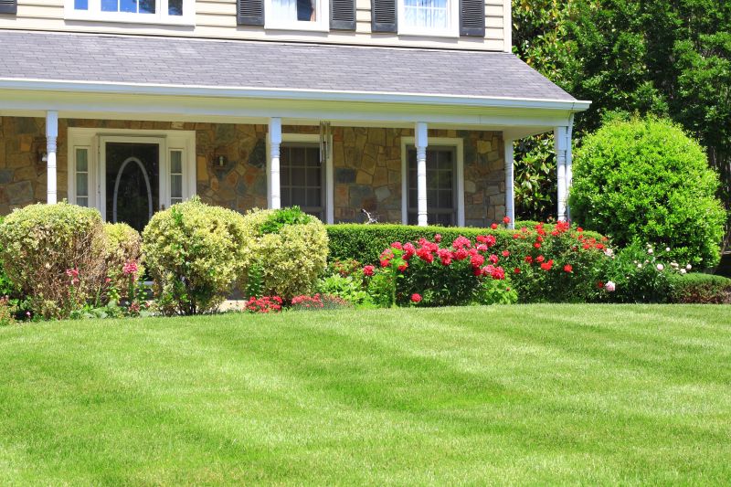 Dryscape Landscaping in Honolulu, HI
