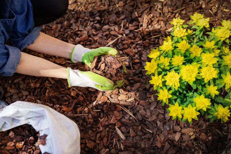 Flower Bed Cleanup Service in Ventura County, CA