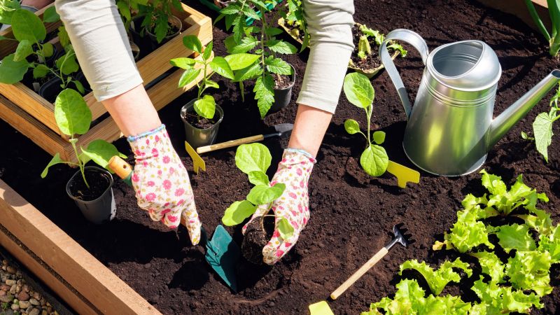 Flower Bed Cleanup Service in Ventura County, CA