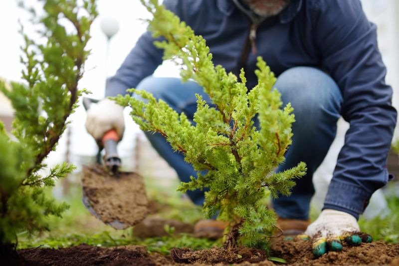 Landscape Planting Service in Ventura County, CA