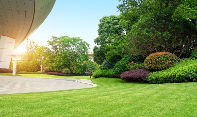 Landscape Remodeling in Honolulu, HI