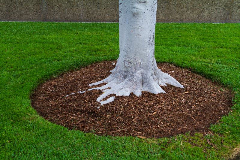 Red Mulch Installation in Ventura County, CA